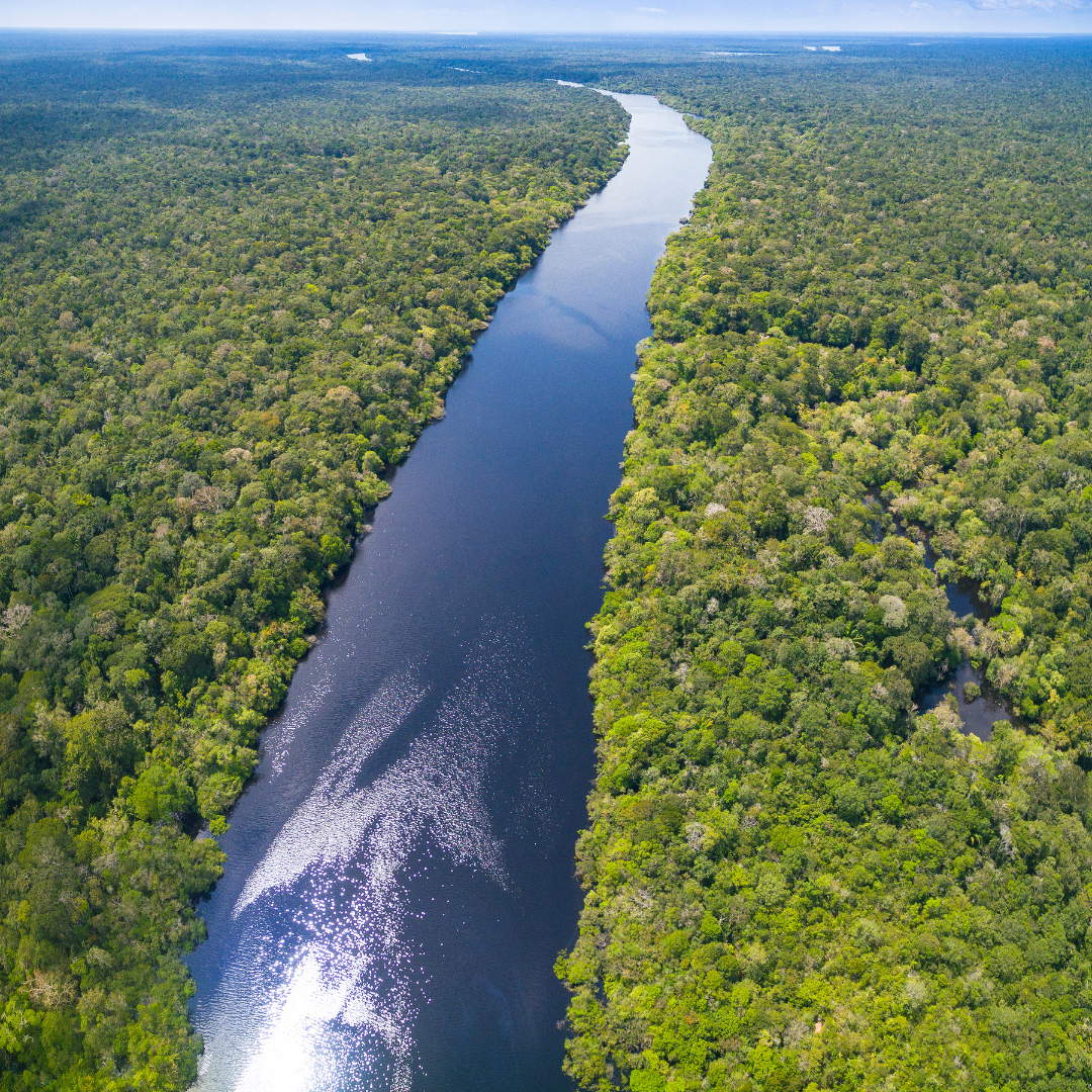 floresta-amazônica