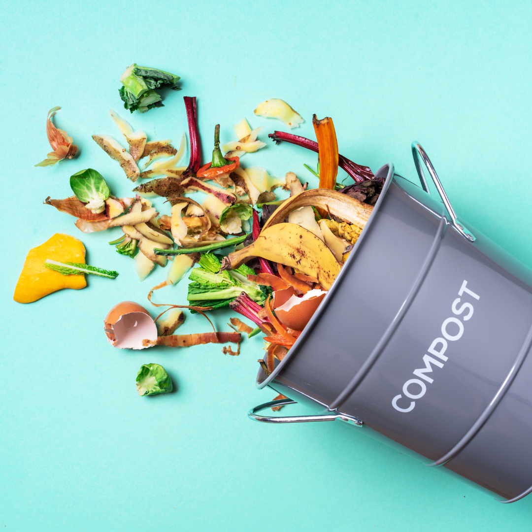 benefícios-da-compostagem